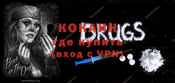 стаф Аркадак