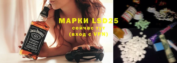 стаф Аркадак
