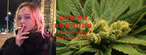 стаф Аркадак