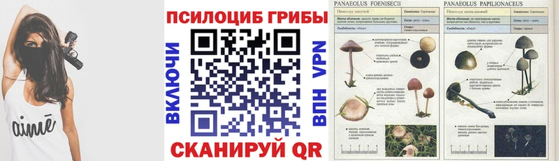 MEGA ссылка  Кубинка  Псилоцибиновые грибы Cubensis 